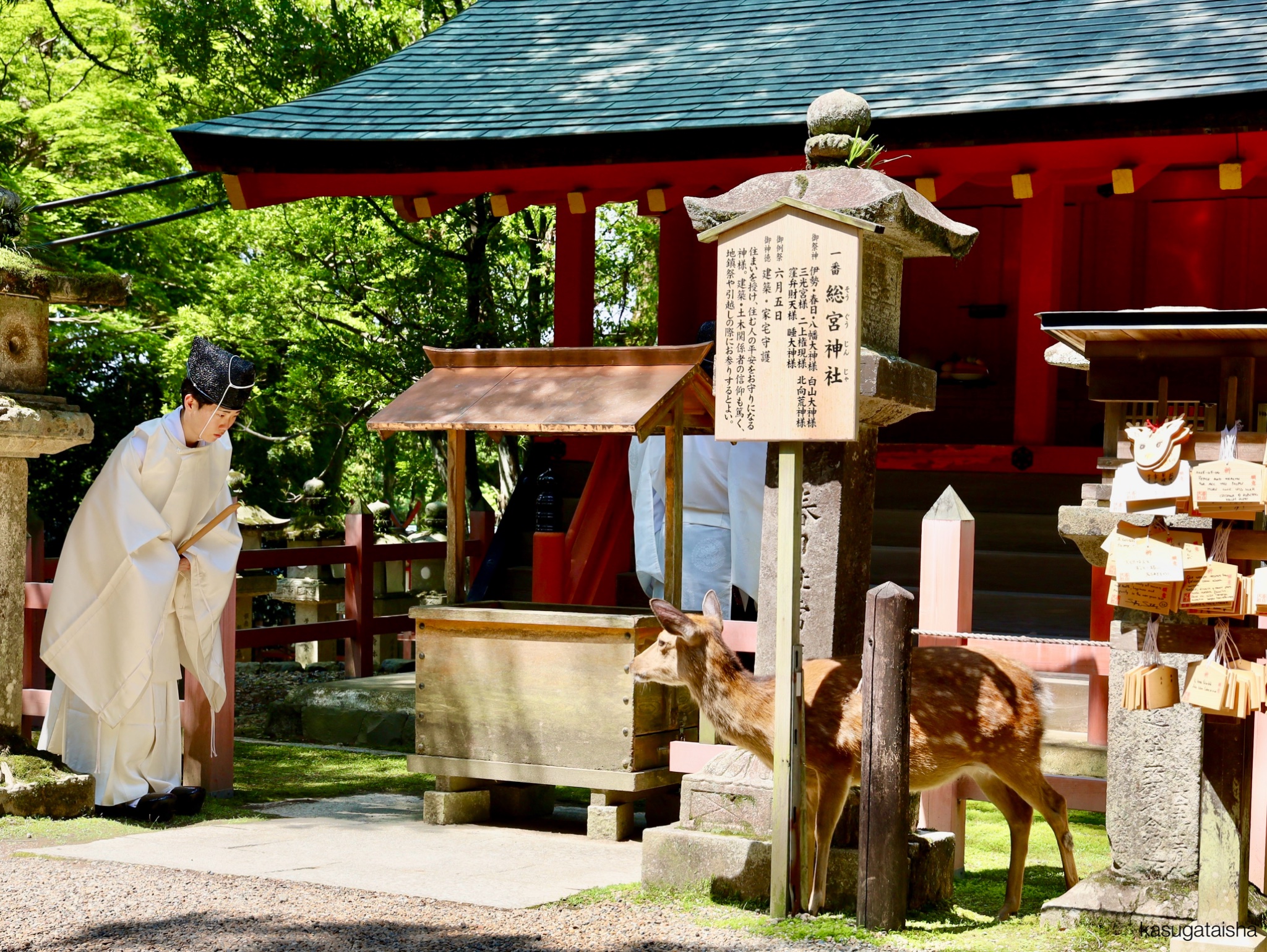 春日大社 kasugataisha shrine on X: 