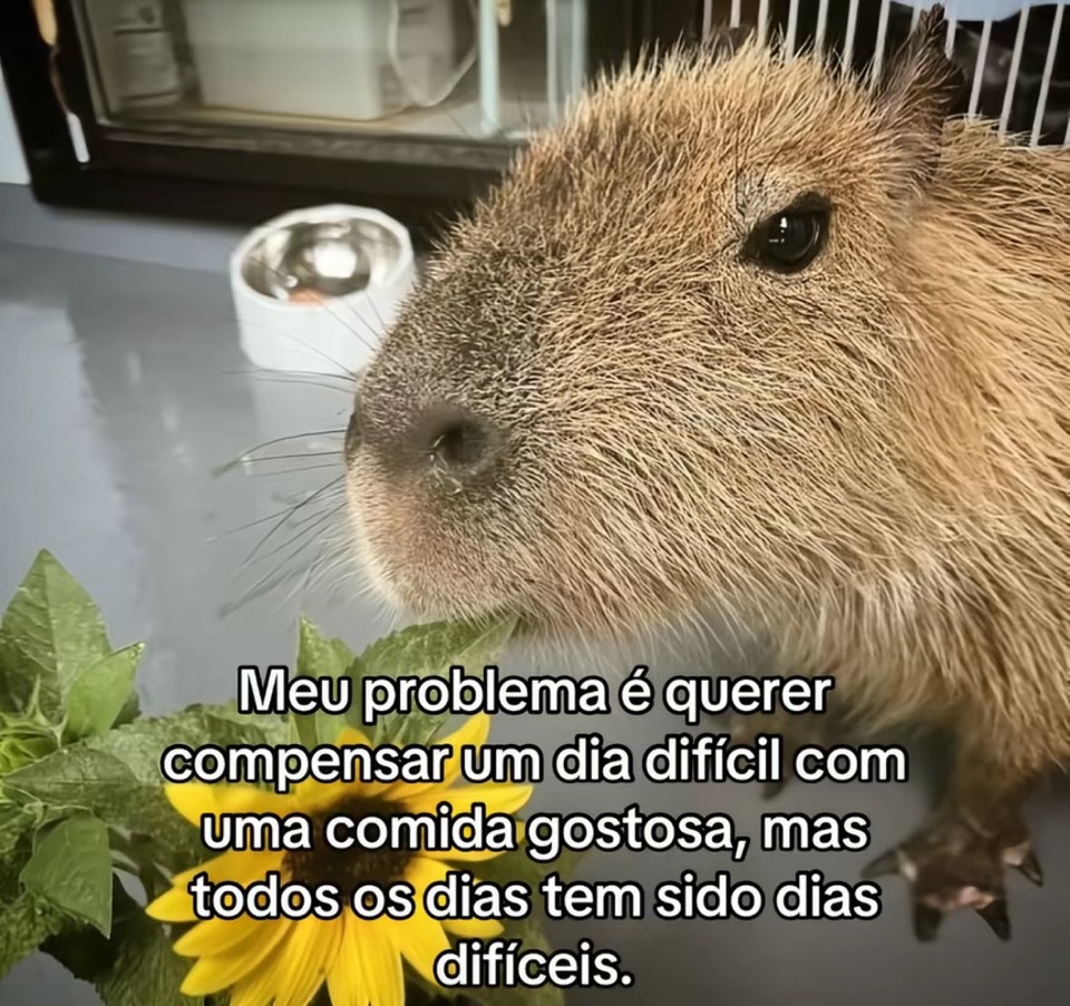 Trouxinha (@euovitinn) on Twitter photo 