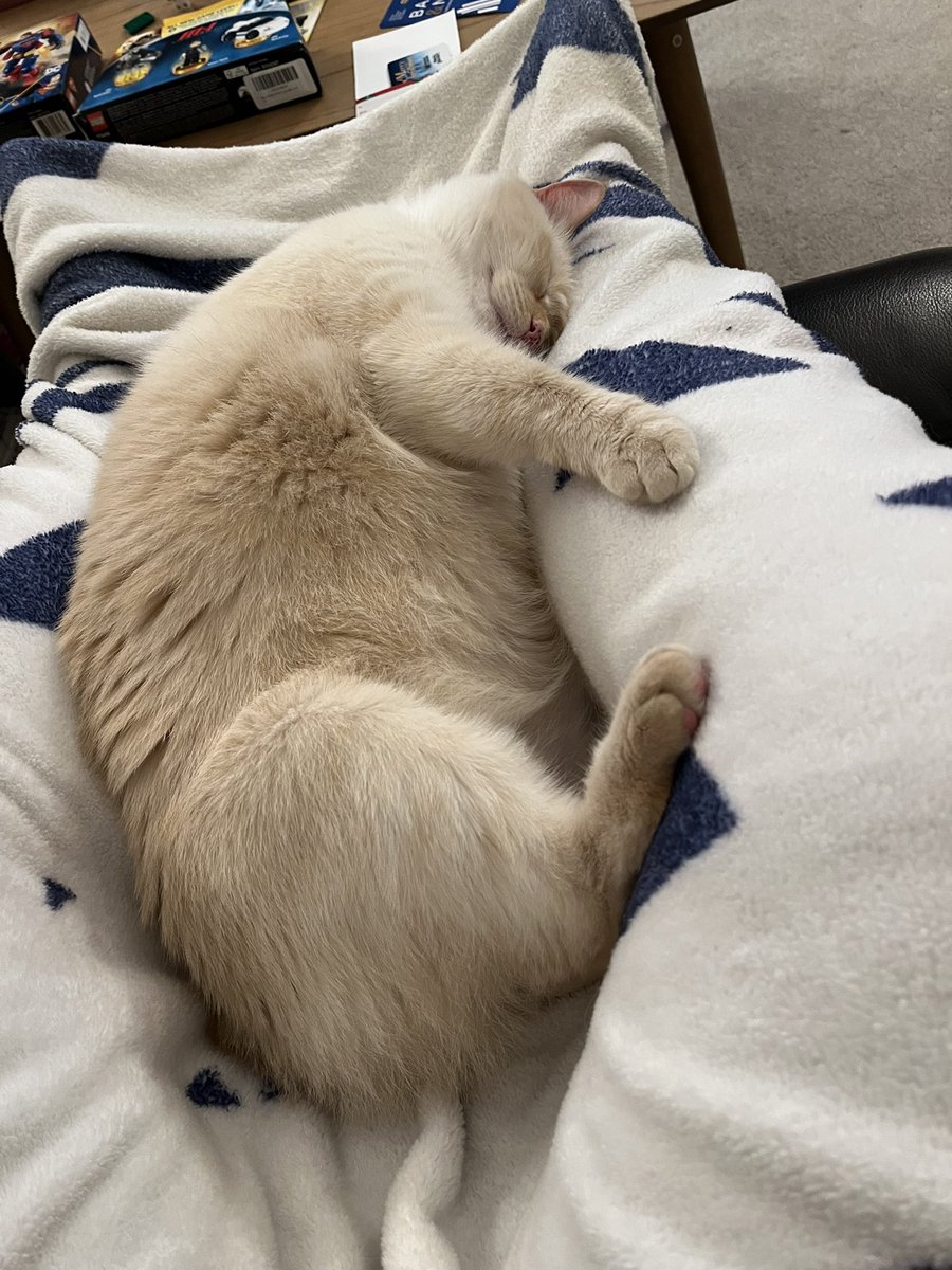 Snugglepuss time in the big recliner