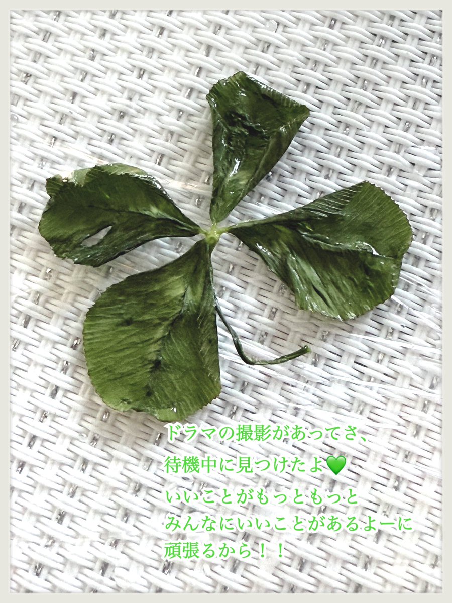 1人残らず幸せにします
は
嘘になる
でも
 1人残らず幸せにしたい
と
ずっと思ってる
ずっと考え続けるからね
ボクは。

SEVENSENS
と
応援してるって伝えてくれる君
が
側にいてくれる限り、いける！！

いつも本当にありがとうございます💙

#おはよだよ
#初心忘れんなクニトウタケシ
#コメ🆗