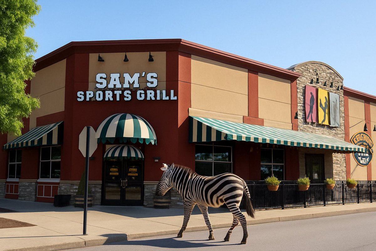 Just your average Wednesday in Rutherford County… 🦓✨

The zebra pulled up to Sam’s for wings, vibes, and a wild night out.

#RutherfordCountyZebra #samsplace #SamsSportsGrill #ZebraOnTheTown #OnlyInTennessee #SamSquadSpotted