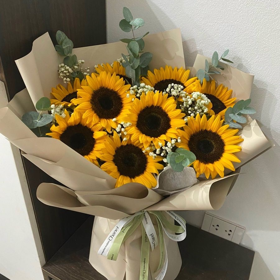 sunflowerchives's tweet photo. beautiful. https://t.co/9kzCtavikF