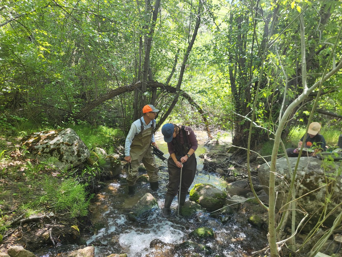 TU Science tweet media