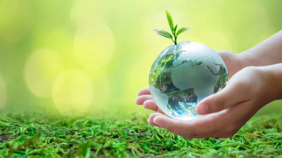 Protect nature, and it will reward you abundantly.
Happy World Environment Day! June 5.