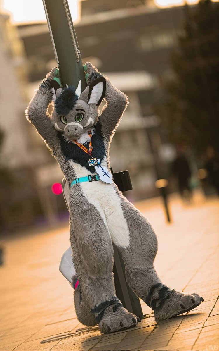 Just hanging in there

📸: <a href="/Cmos_ThunderFox/">Cmos ThunderFox</a>