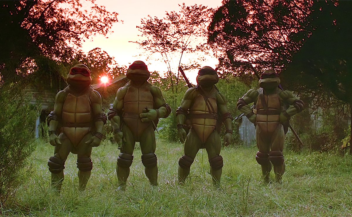 🐢 The Old Turtle Den 🍕 tweet media