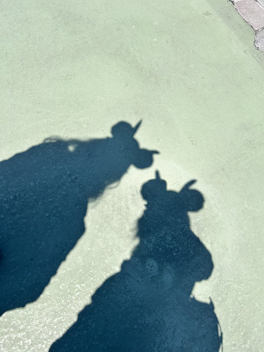 ヴォイドにやられました