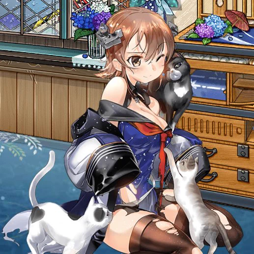 雨リアリーと猫ちゃんかわいいね 猫ちゃんかわいいね