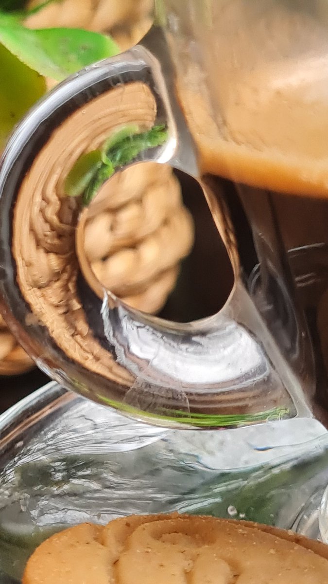 Aquí técnicamente puedo poner cualquier cosa que como se que nadie la va a leer pfff...
mondongo,triscaidecofobia,petricor,Coelho es para la literatura lo mismo que cuba para la onu,los vendedores del bocaitoeláo son drones del pcc,mañana se cae toestapinga...