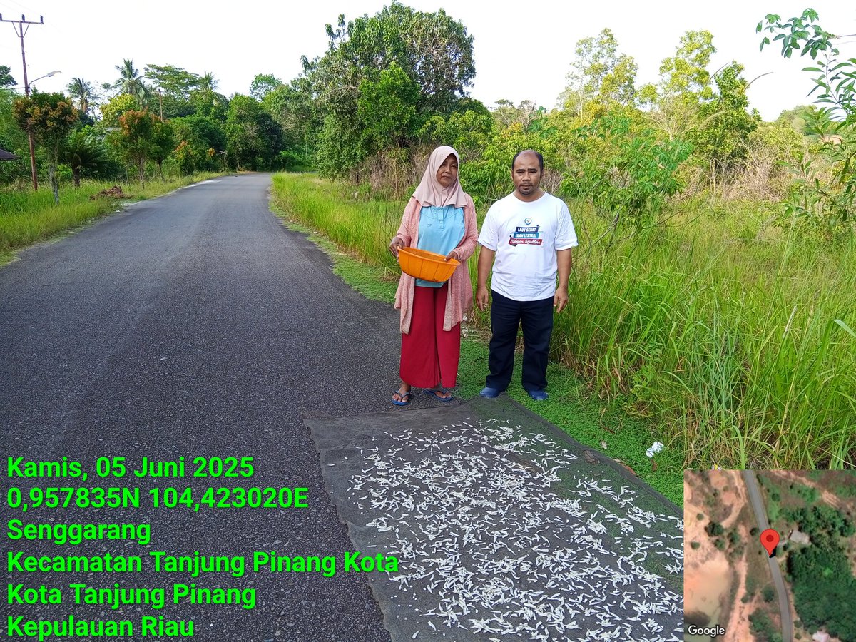 Pangsan Sibungsu Harahap tweet media