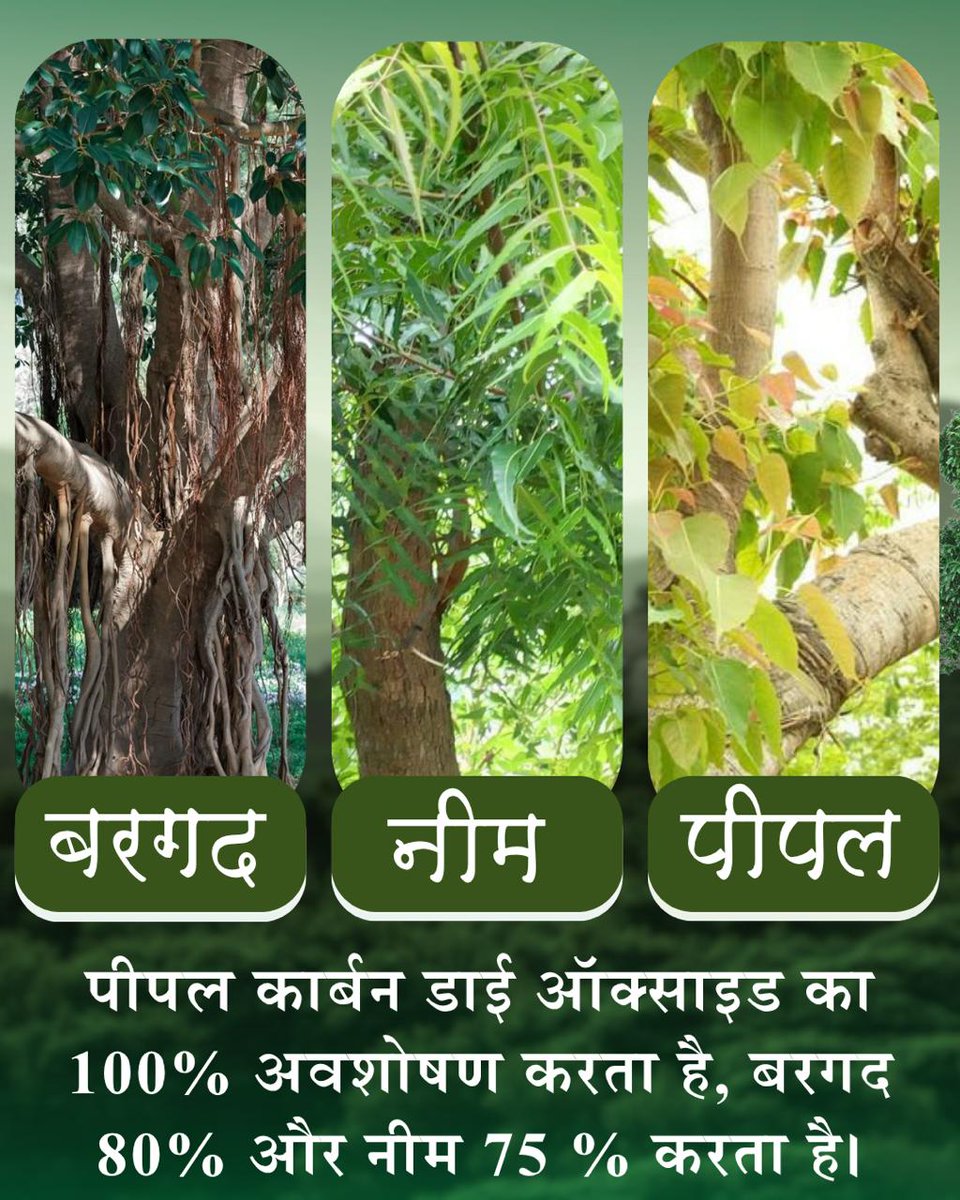 Save Our Planet Pollution increased and controlling by world made almost impossible. But Sant Shri Asharamji Bapu's discourses solutes problem by planting neem absorbs 75% carbon, banyan 80% n peepal 100%. Which is necessary to go green n save th world. 
#WorldEnvironmentDay