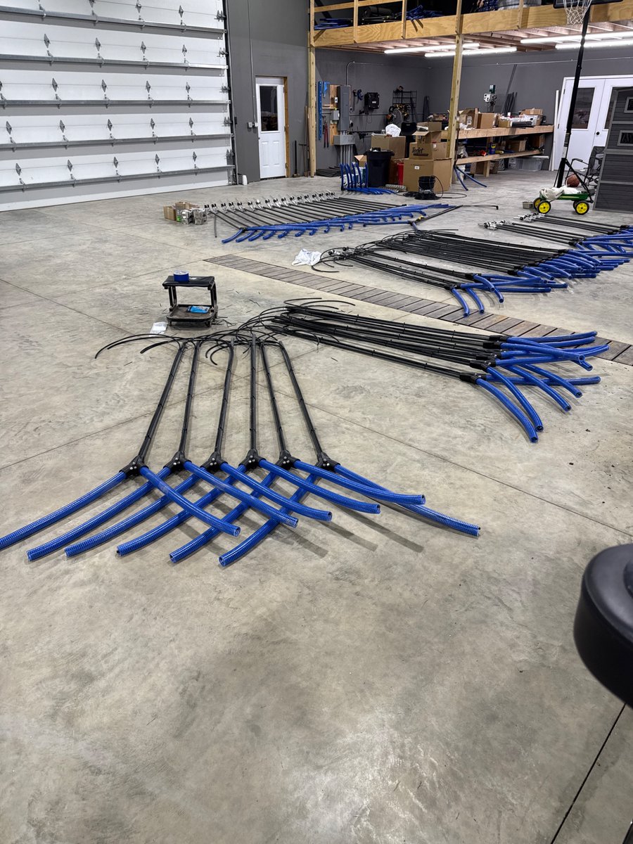 Drops today. Spray tomorrow.