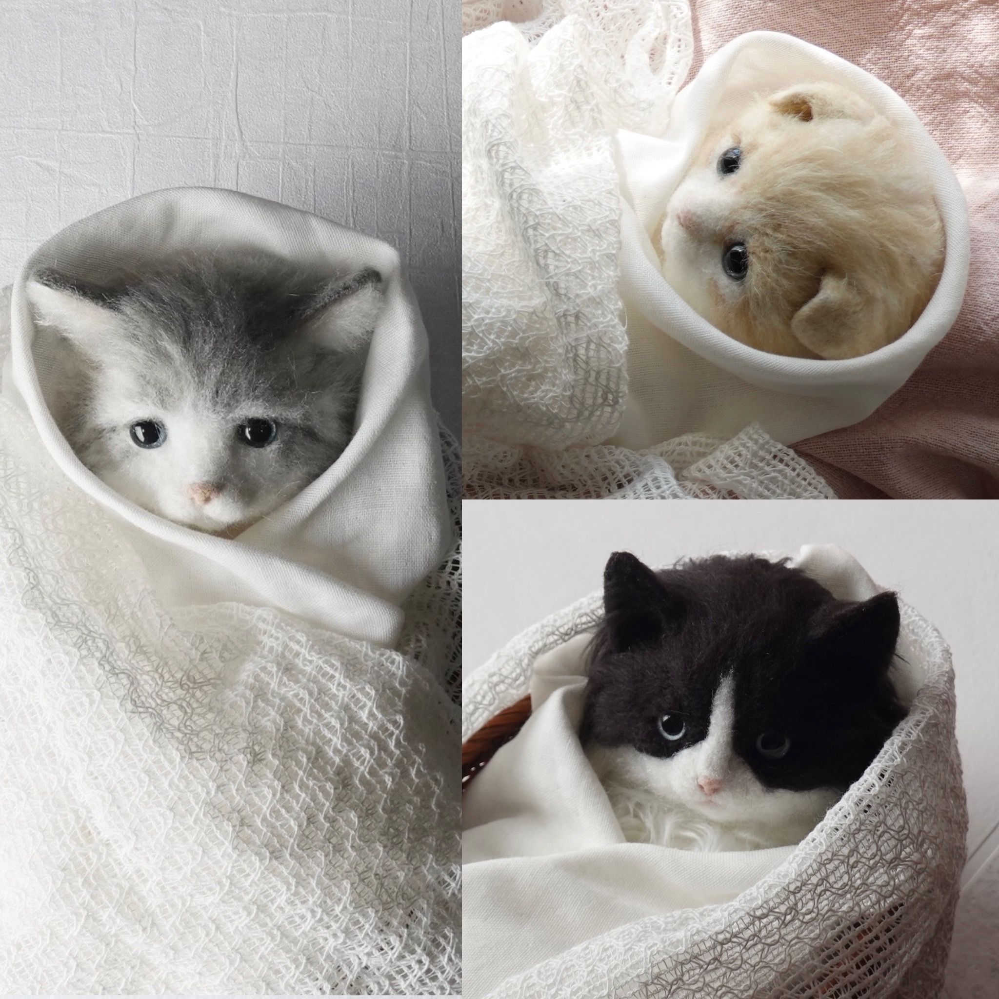 超人気ブティック capeesh on X:  キャットタワー・ベッド・マット