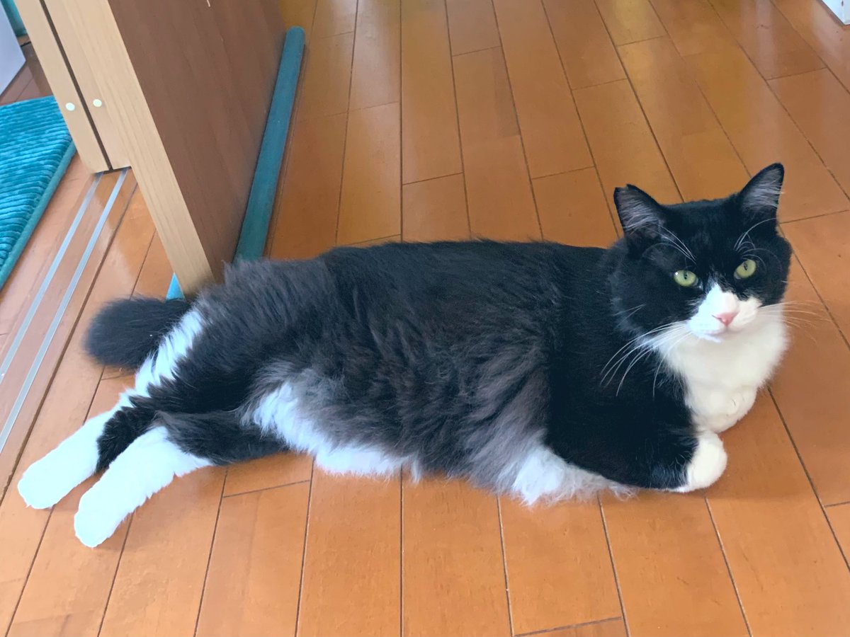 マダムっぽいね