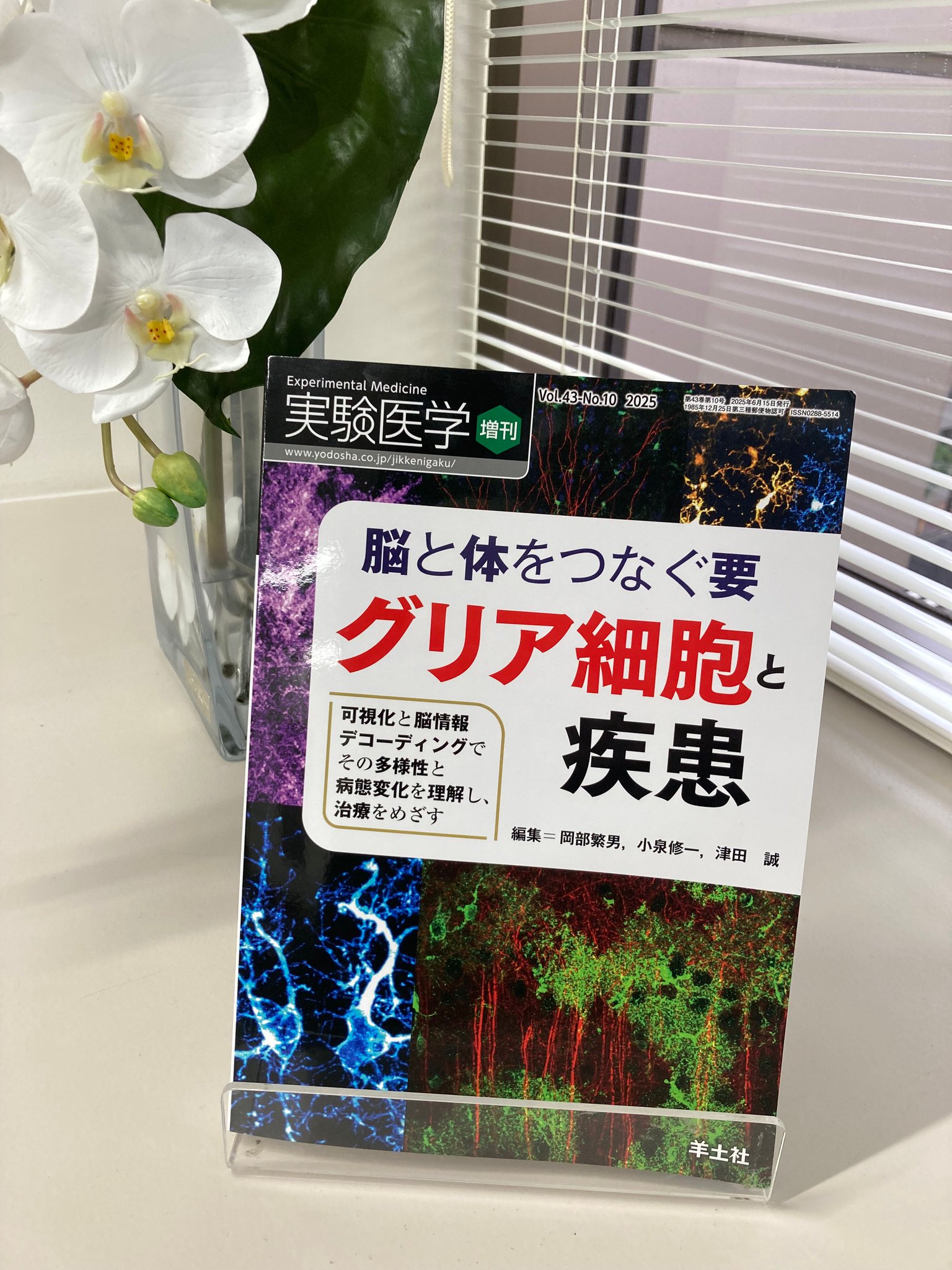 激安アウトレット 実験医学 羊土社 on  X: 生物・バイオテクノロジー