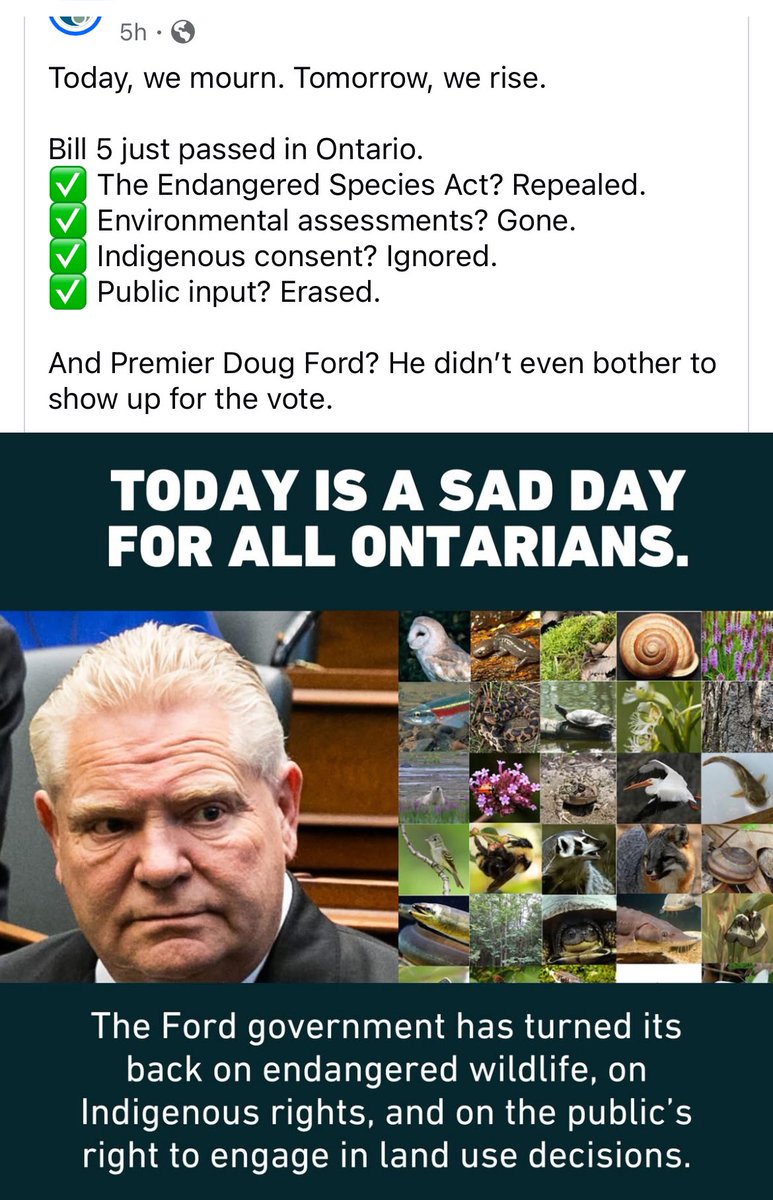 DavisrusstDavis's tweet photo. Another parasite on our beautiful turtle Island. Time to go ford you loser. https://t.co/qE1ijb3UeA
