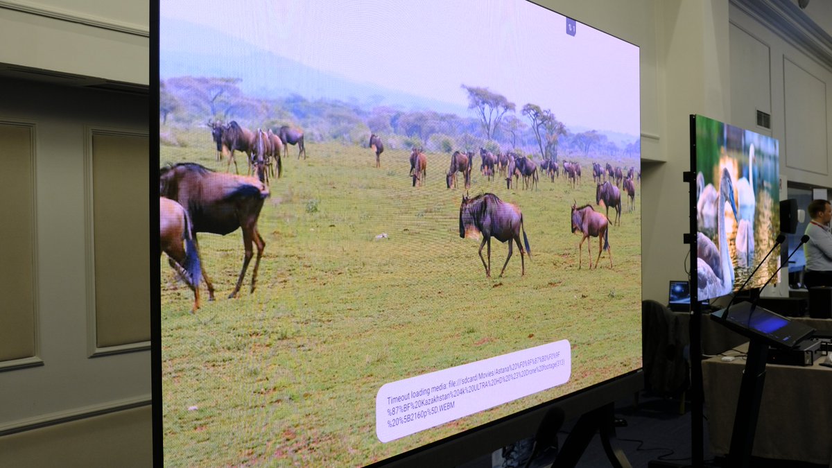 qstechled's tweet image. What a week! QSTECH brought together an enthusiastic group of partners and clients across two electrifying sessions.
👉 Craving more tech magic? Dive deeper: qs-tech.com
#QSTECH #LEDInnovation #AVTech #DisplayGoals