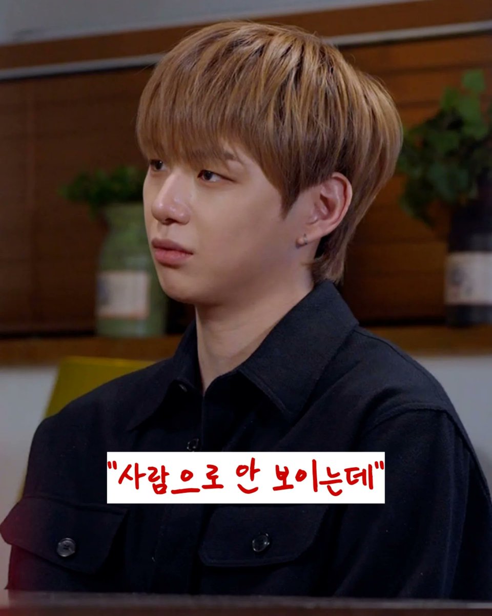 강니다엘갤리러 tweet media