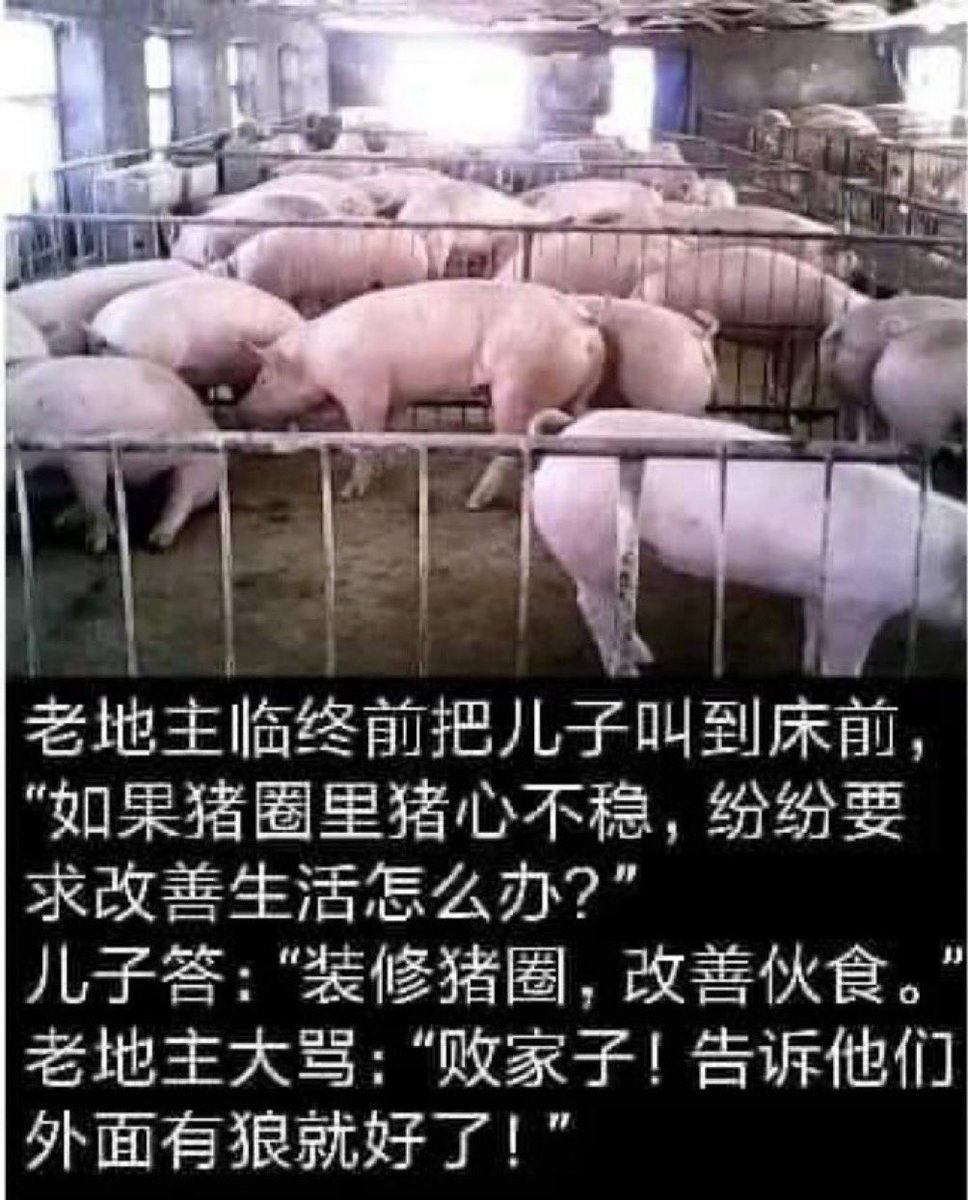 txwg1688's tweet photo. @Shuaigeao @qazxsw8383 @__Inty__ 知道啥叫信息茧房？ https://t.co/ltK1HqBHZG