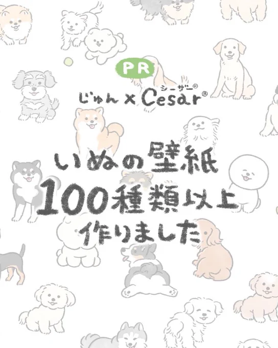 【お知らせ】
ドッグフードブランド「Cesar®︎」(シーザー®︎)様とコラボさせていただきました!
キャンペーンへ応募すると、100種類以上の「いぬお守り壁紙」から好きな壁紙がもらえます✨

ぜひフードを購入して壁紙をもらってください!
詳細はこちら:https://t.co/7YmrkDC6nN
#PR   #シーザー 