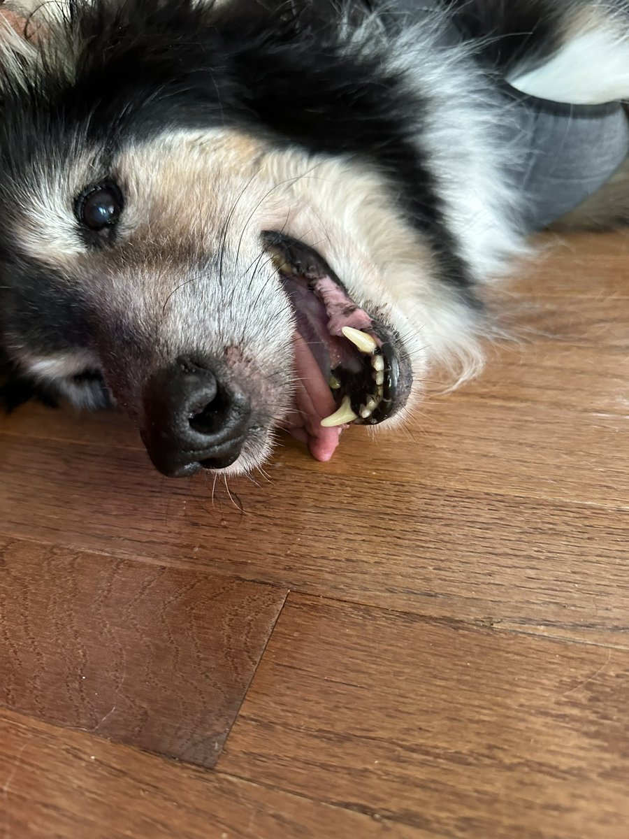 #cooperpanico relaxing.