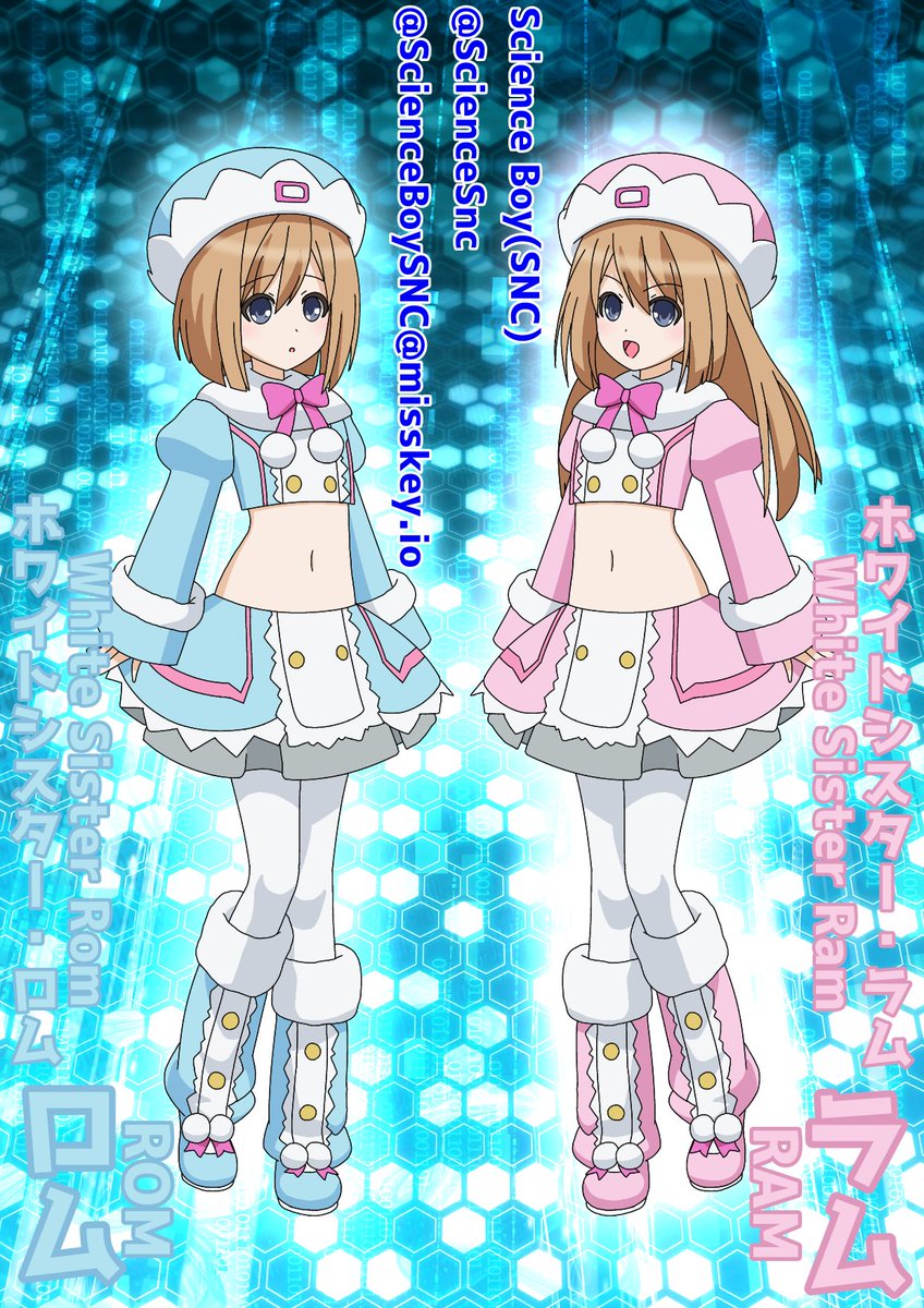 超次元ゲイム ネプテューヌシリーズ』よりロムちゃんとラムちゃん。 俺