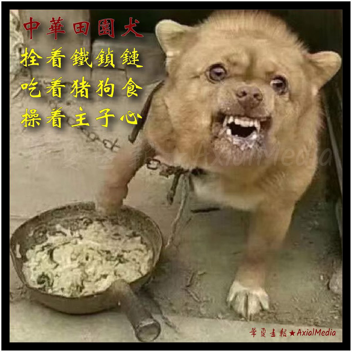 txwg1688's tweet photo. @Shuaigeao @2XDMMj88Sm41700 @__Inty__ 解放你麻痹！ https://t.co/s2SLXvFlQr