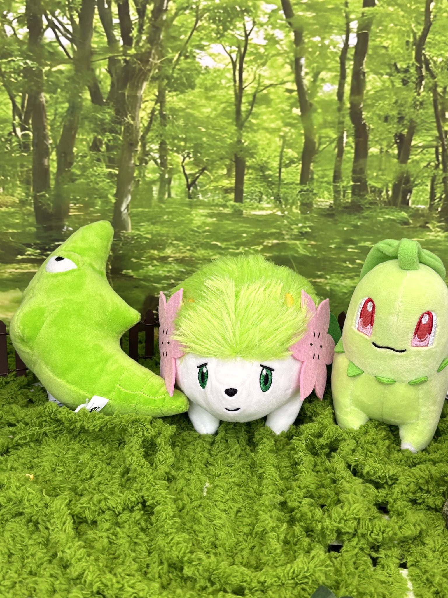 Amazon.co.jp: ポケモンセンターオリジナル ぬいぐるみ