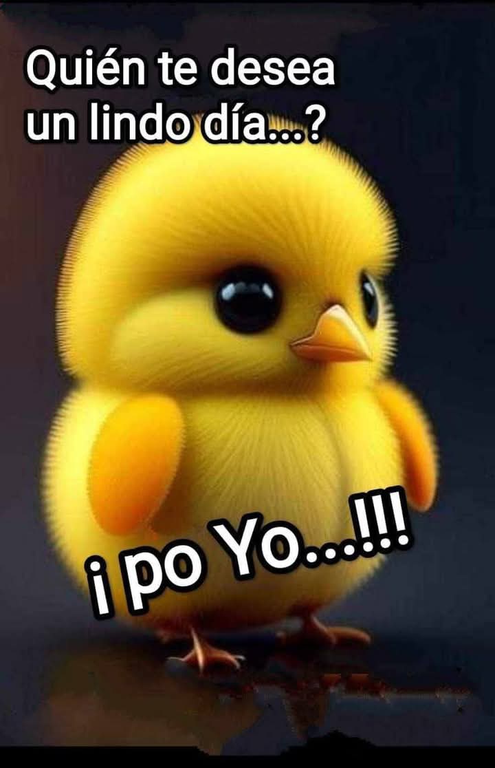 Amargaíta me tenéis tweet media