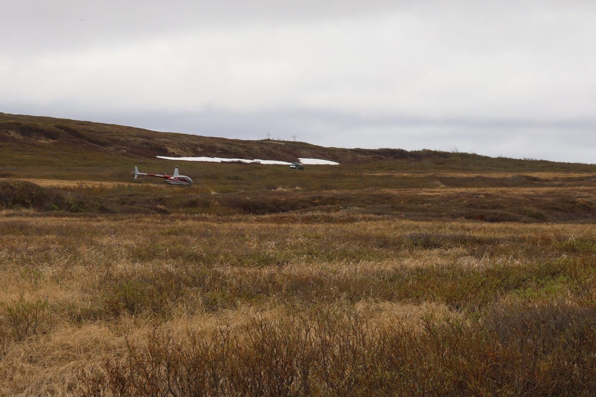 KNOM Radio Mission tweet media