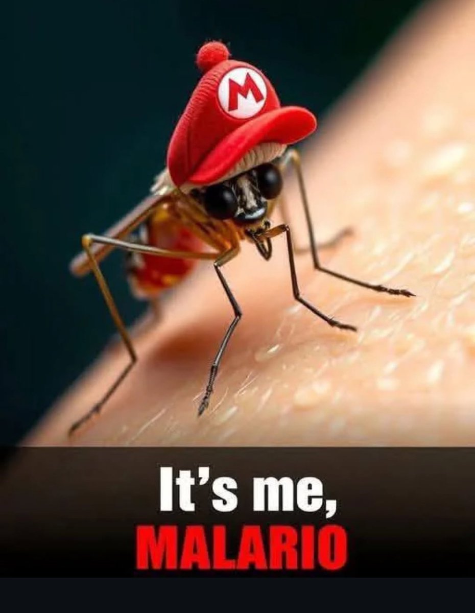 HardWatchh's tweet image. MALARIO
