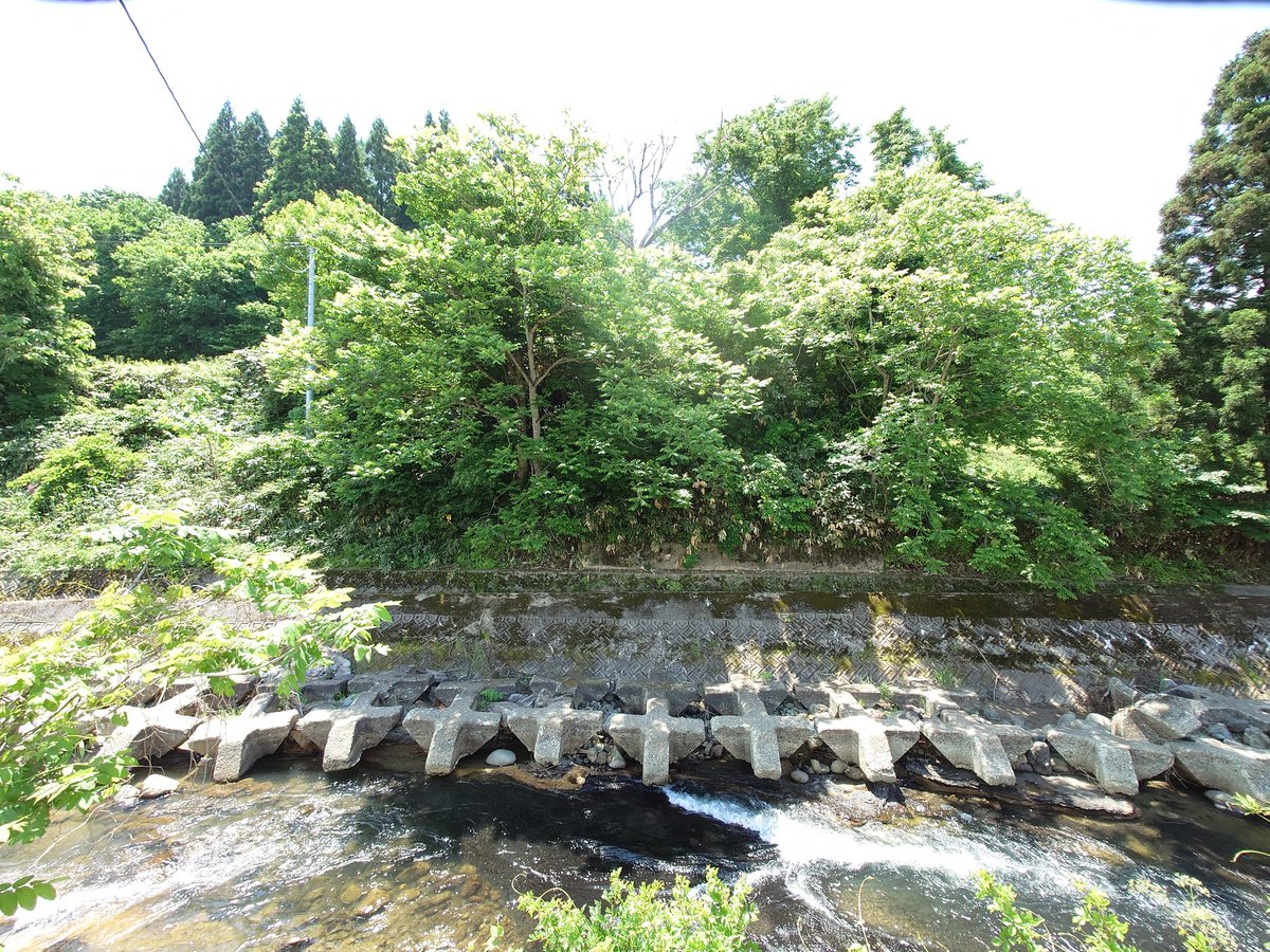 rumisky's tweet photo. @naharu610 実は先ほど、炭鉱跡地の近くに行ったんですよ！
水害でえぐれて、亜炭の塊？
が出てきていました！ https://t.co/BDg2VNFnJO