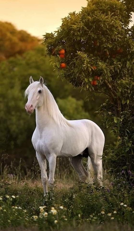 📸 Good Morning !!!