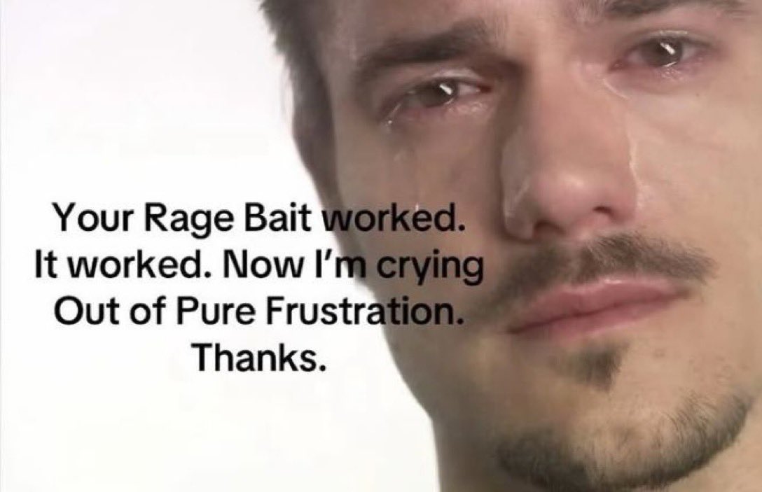 lowkey this is how it feels being in the warrior cat fandom