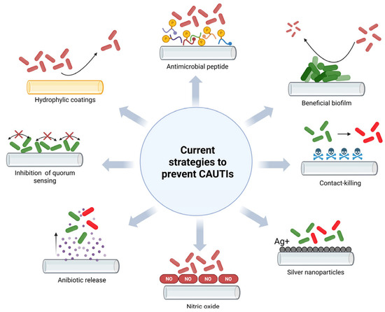 👏A Comprehensive Review of Progress in Preventing Urinary Infections Associated with the Use of Urinary Catheters: A Dual Analysis of Publications and Patents mdpi.com/3343496 #mdpiidr via <a href="/MDPIOpenAccess/">MDPI</a> #infected #infectionrisk #DiseaseIsComing #Hospital #medicine