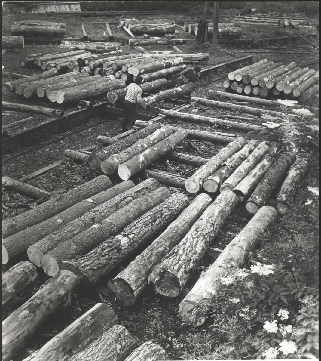 NEW: Re Tejus works towards synthesizing a critical theory of class in "Class and Rackets, Part 1 - Conditions," the latest post in our dossier series on racket theory. Part II soon to follow!
ctwgwebsite.github.io/blog/2025/Rack…