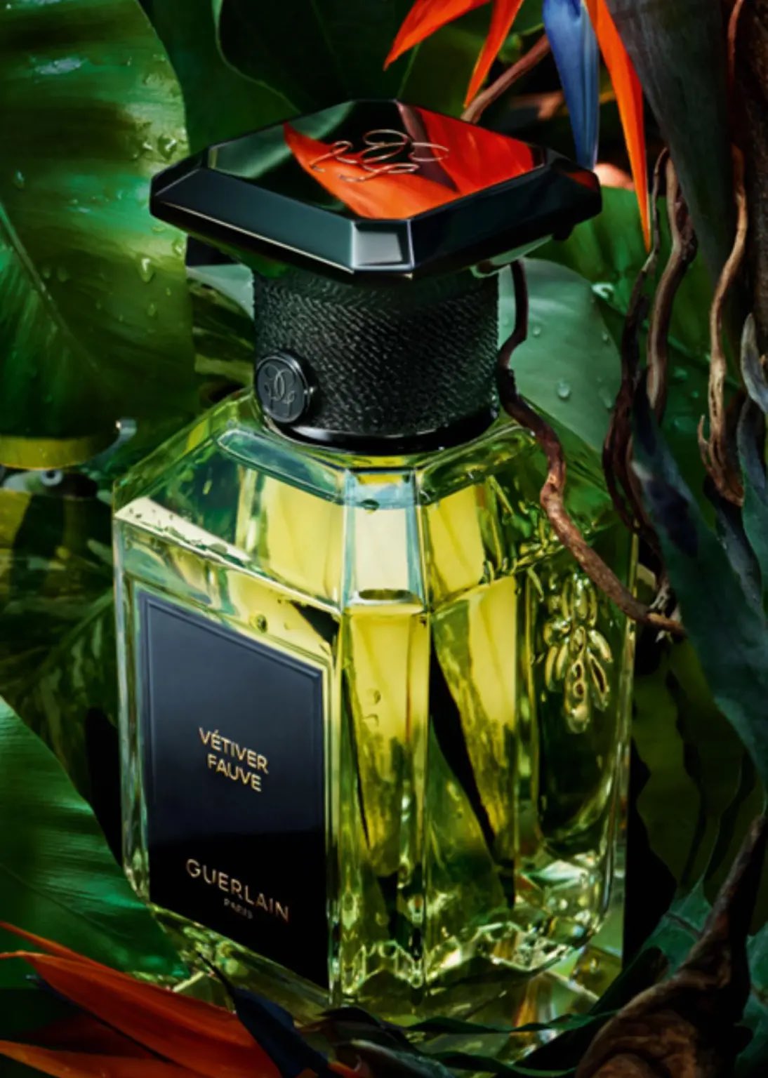ゲラン VETIVER 75ml ゲラン　ベチバー　未使用 backend=imagemagick;version=1;