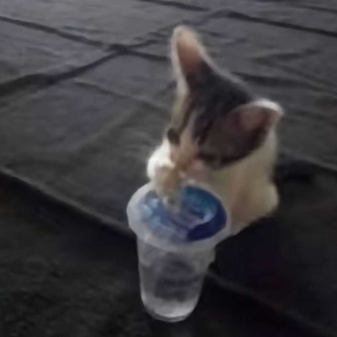 CCctaro's tweet image. #mytime