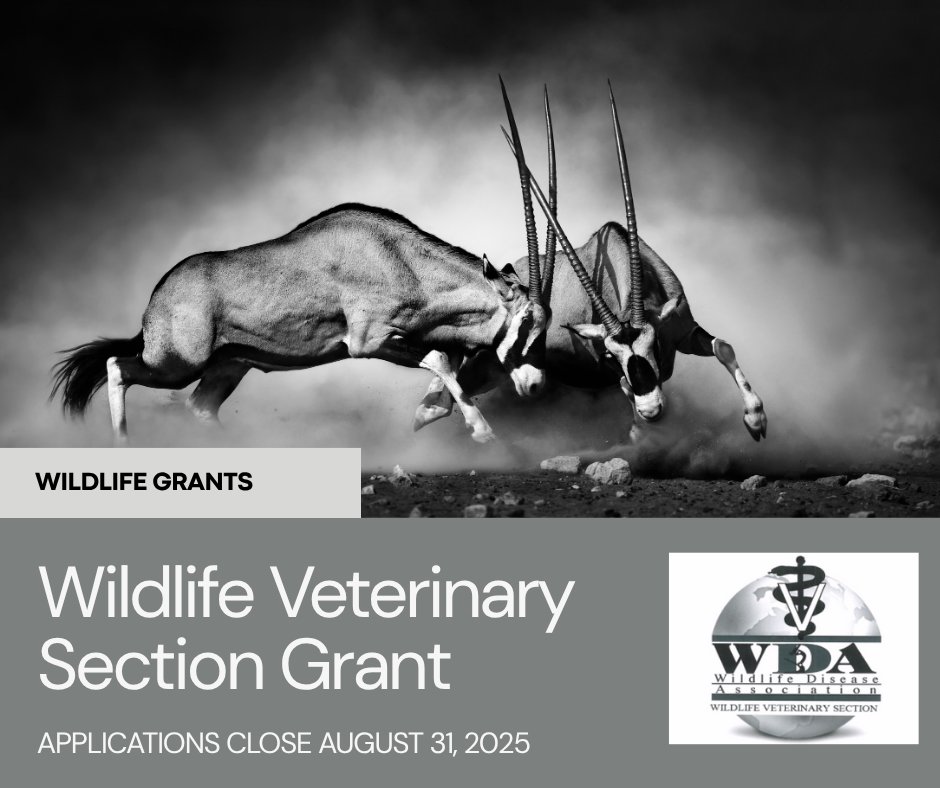 WDA - Wildlife Disease Association tweet media