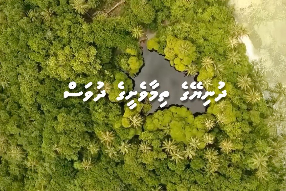 ތިމާވެށި ޙިމާޔަތް ކުރުމަށް ދިވެހީން ދޭ އިސްކަމަކީ، މިއަދުގެ ފާގަތިކަމާއި، މާދަމާގެ ތިޔާގިކަމާއި އުފާވެރިކަމަށްޓަކައި އަދާކުރާ ޤައުމީ ޒިންމާއެއްކަމުގައި ރައީސުލްޖުމްހޫރިއްޔާ ވިދާޅުވެއްޖެ presidency.gov.mv/Press/Article/…