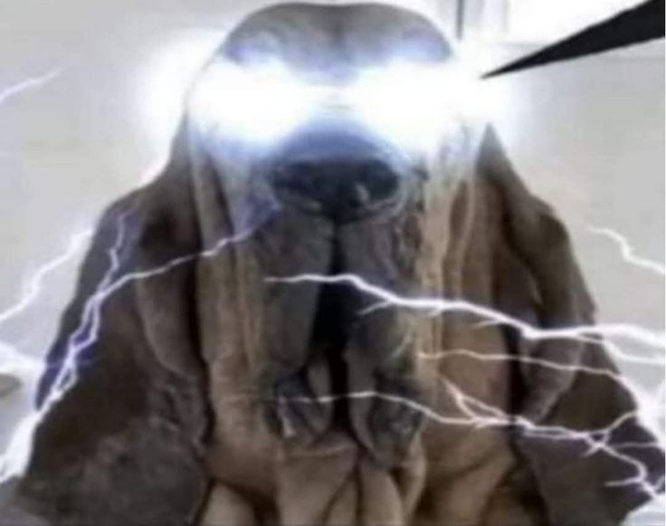 vtr no banca q prenda asi q me tiro el directo  perdon gentesita hermosa