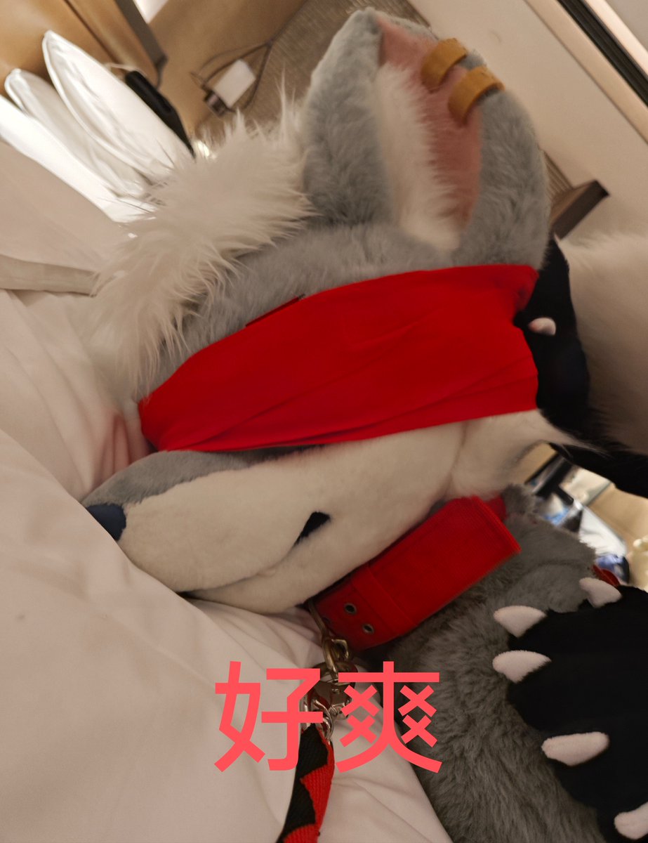 在想是不是把象山的挨个都做成好爽表情包（x