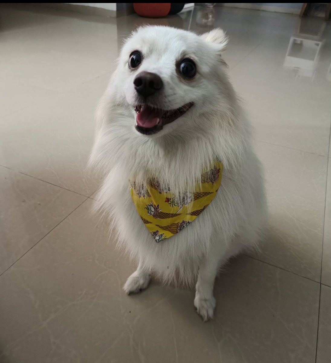 Mukul Sharma tweet media