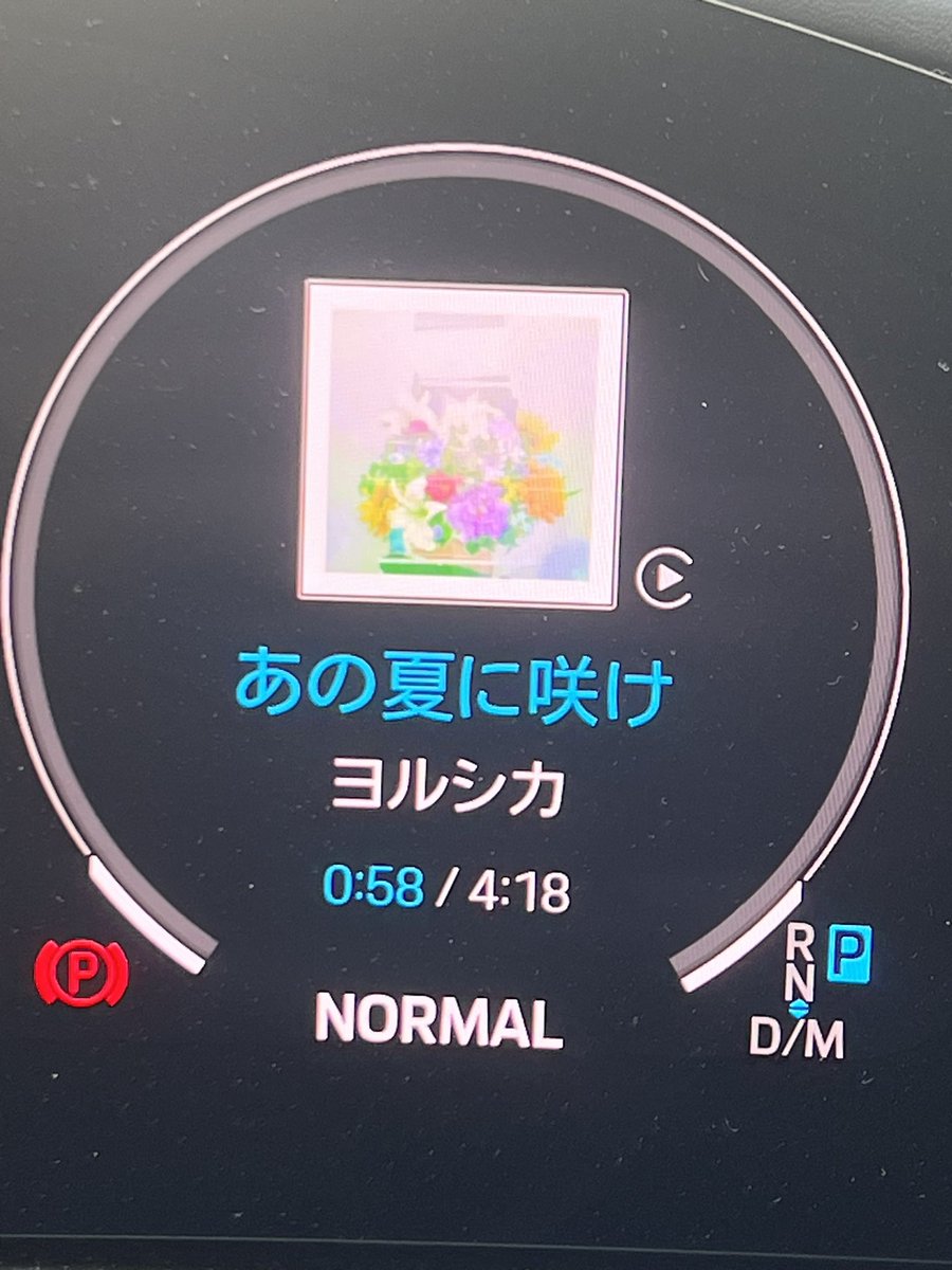 SHAKA🐈 (@avashaka) on Twitter photo 