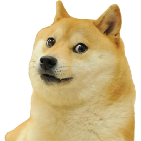 treylw79's tweet photo. @twill89au @naga_taco Good thing she didn’t check my pinned tweet gg gg https://t.co/3IvcoTFdVZ