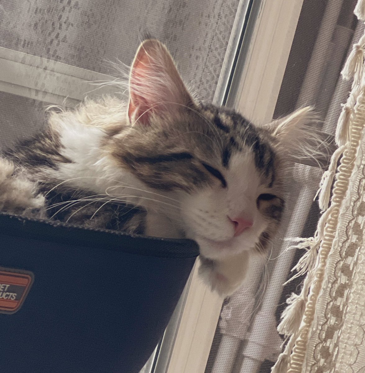 HE JUST A EEPY BABY. 😭😭