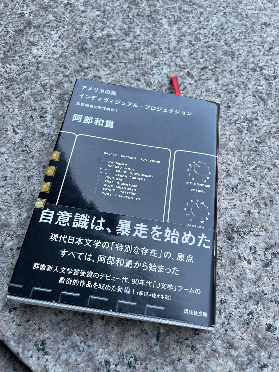 インディヴィジュアル・プロジェクション
阿部和重

アメリカの夜と通じていて
その語り手視点が本物なのか…
後半はページを捲るごとに違和感を感じ、
自然とメタ視点で眺める癖がついていた