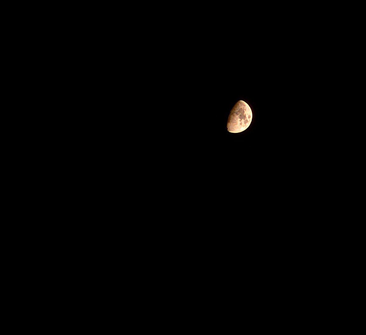 ChristianYN980's tweet photo. Fotografía diaria Dia 1

#Foto #Luna #Fotoluna https://t.co/zJ9scm5LLa