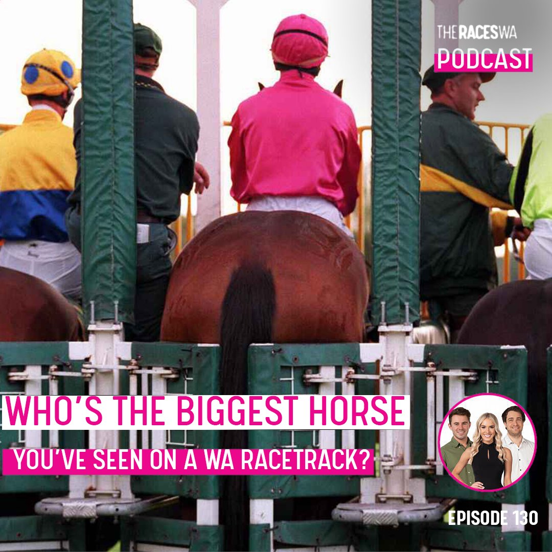 Who is the biggest horse you’ve seen on a WA racetrack?

Apple: apple.co/3dJtTEN
Spotify: spoti.fi/3foYA2j