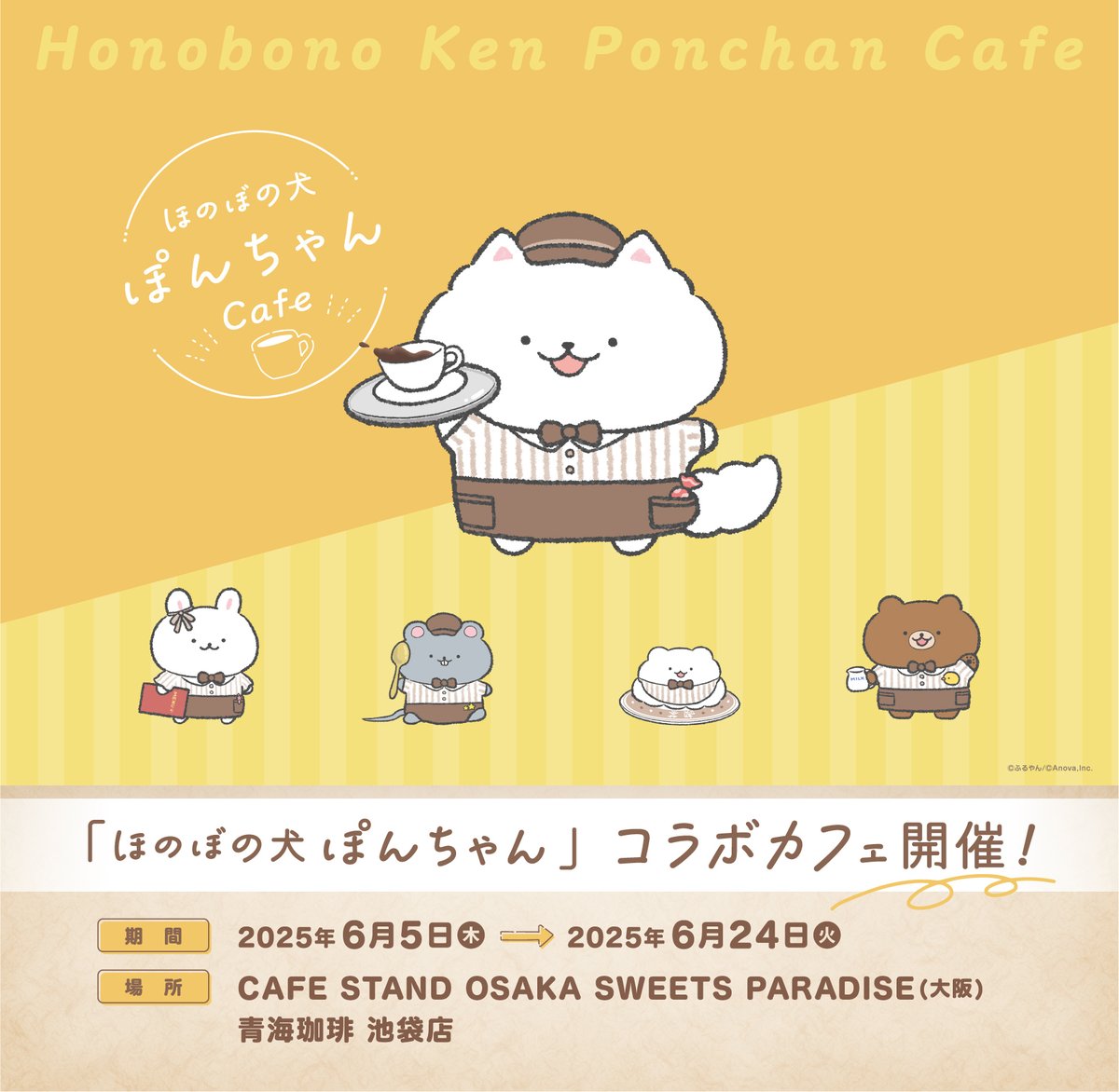🐶ほのぼの犬 ぽんちゃんCafe🐶 本日よりコラボカフェがスタート